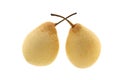 Two chinese pears