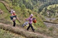 Two Chinese peasants go to work in the rice fields. Royalty Free Stock Photo