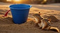 Adorable Chipmunks Playing in the Sand at Sunset Royalty Free Stock Photo