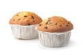 Two chocolate chip muffins Royalty Free Stock Photo