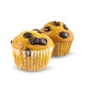 Two chocolate chip muffins on isolated white background. with clipping paths Royalty Free Stock Photo