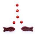 Two chocolate fish and red bubbles - kiwiana from New Zealand, N