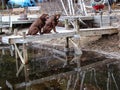 Two Chocolate Labs sitting on dock over the water Royalty Free Stock Photo