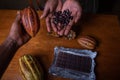 Two chocolate makers are holding cocoa pods with the extracted cocoa beans in their hands Royalty Free Stock Photo