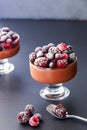 Two chocolate mousse dessert with frozen berries on grey background close up isolated Royalty Free Stock Photo