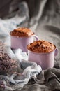 Two chocolate muffins in lilac cups