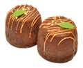 Two Chocolate Sponge Puddings Royalty Free Stock Photo