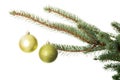 Two christmas balls hanging on a tree. Royalty Free Stock Photo