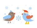 Two cute Birds for your Christmas design. Isolated characters on a white background with snowflakes. Royalty Free Stock Photo