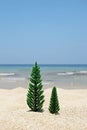 Two Christmas trees on a sandy beach on the background of blue sea and sky on a sunny day. Royalty Free Stock Photo