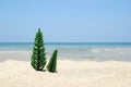 Two Christmas trees on the white sand beach on the background of blue sea and sky on a sunny day. Royalty Free Stock Photo