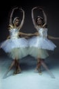 Two classic ballet dancers