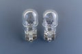 Two classic halogen car bulb. Filament, glass and metal, high energy consumption. Gray background. Close-up view. copy space. w10w