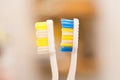 Two clean toothbrushes, very close up. Bathroom Royalty Free Stock Photo