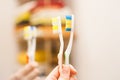 Two clean toothbrushes in somebody`s hand. Bathroom Royalty Free Stock Photo