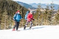 Two climbers are in the mountains. Royalty Free Stock Photo