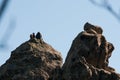 Two climbers are sitting on the top of the mountain Royalty Free Stock Photo