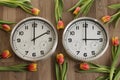 Two clocks, one showing two o\'clock, the other showing three o\'clock. Tulips lie around. Time Royalty Free Stock Photo