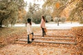 Two close female friends women walking at golden autumn park, stairs. Shopping sales, buying in ecological textile bags Royalty Free Stock Photo