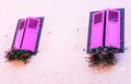 Two closed pink windows with flowers on a rose wall