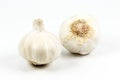 Two closed white organic garlic bulbs with skin isolated on white background Royalty Free Stock Photo