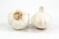 Two closed white organic garlic bulbs with skin isolated on white background Royalty Free Stock Photo