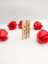 Two clothing pins and roses on white background Royalty Free Stock Photo