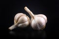 Two cloves of garlic with a glass mat on a black background Royalty Free Stock Photo
