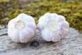 Two cloves of garlic on the old Board