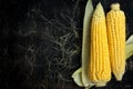 Two cobs of corn on a black wooden table Royalty Free Stock Photo