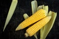 Two cobs of corn on a black wooden table Royalty Free Stock Photo