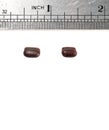 Two Cockroach Eggs and Stainless Steel Ruler in Inch International System For Knowing Its Dimension. Royalty Free Stock Photo