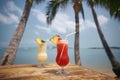 Two cocktails under palm trees on beautiful beach Royalty Free Stock Photo