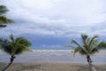 Two coconut curve tree on the beach with couple in background