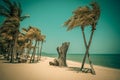 Two coconut palm tree cross on the tropical beach at daytime. Royalty Free Stock Photo