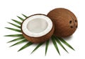Two coconuts are depicted one is whole with a rough, brown shell and visible three Royalty Free Stock Photo