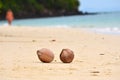 Two coconuts on the sandy sea shore. Royalty Free Stock Photo