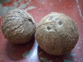 Two Coconuts shell brown ba-o Royalty Free Stock Photo