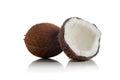 Coconuts on white background