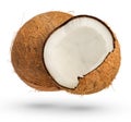 Two coconuts on a white isolated background. A whole coconut and half a coconut cast a shadow close-up. High quality Royalty Free Stock Photo