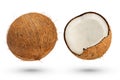 Two coconuts on a white isolated background. A whole coconut and half a coconut cast a shadow close-up. High quality Royalty Free Stock Photo