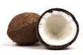 Two coconuts wide with plain side