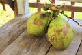 Two coconuts on wooden floor