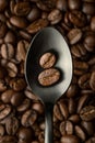 Two coffee beans in black metal spoon Royalty Free Stock Photo