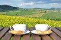 Two coffee cups and cantuccini Royalty Free Stock Photo