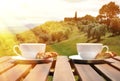 Two coffee cups and cantuccini Royalty Free Stock Photo