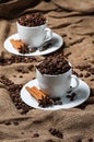 Two coffee cups with coffee beans, aniseed and cinnamon.