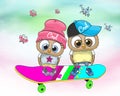 Two cole owls on an ice skate