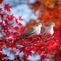two collared doves, AI generated Royalty Free Stock Photo