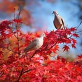 two collared doves, AI generated Royalty Free Stock Photo